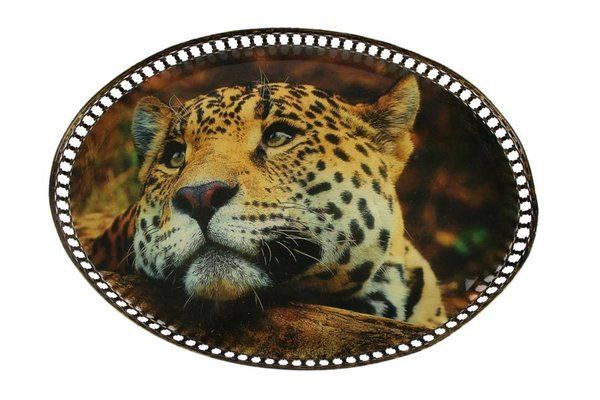 Tablett oval Leopard – FC-115-067 Signature